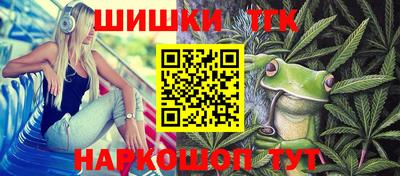 мдпв Славгород