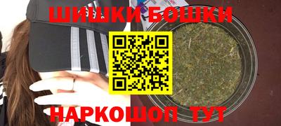 мдпв Славгород