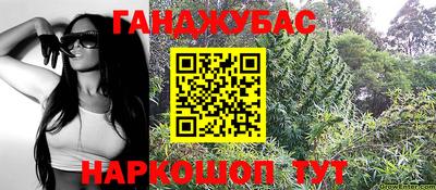 мдпв Славгород
