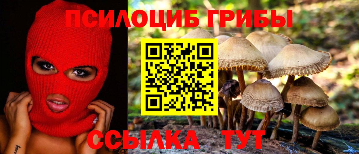 Галлюциногенные грибы мицелий Первоуральск
