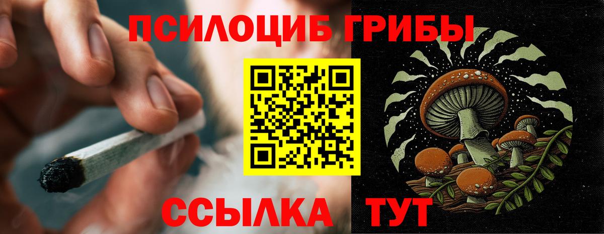 Первоуральск  Галлюциногенные грибы Psilocybine cubensis  Вход с VPN  Псилоцибиновые грибы Psilocybe 